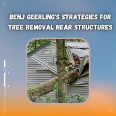 Benj Geerling's Strategies For Tree Removal Near Structures