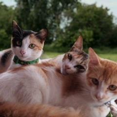 Corporate Ad -  Pragati Engineering College