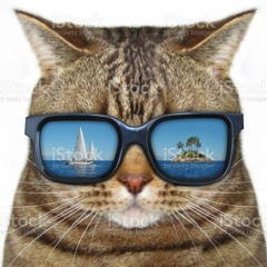 SW6 TAPE DISCO HOUSE.wav