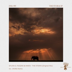 Dylan-S, Foozak & Awen - The Storm (Caiiro Remix)- Snippet