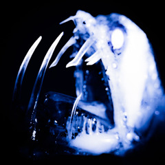 Abisal (maqueta supertriste)