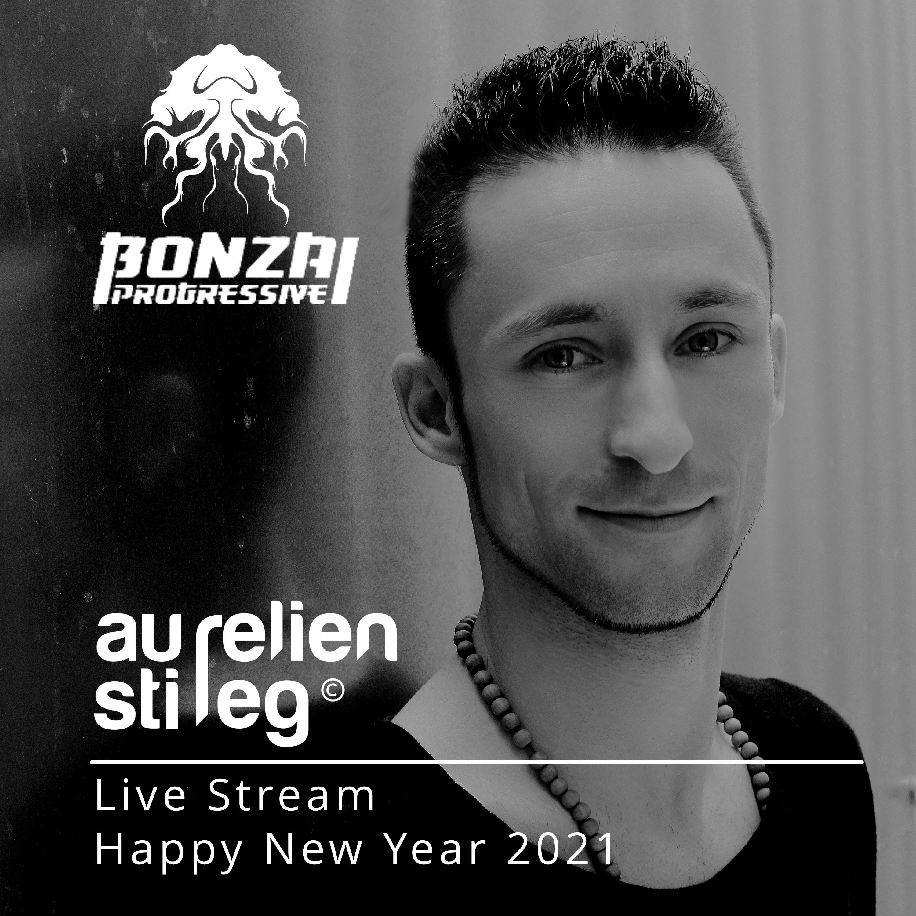 Aurelien Stireg