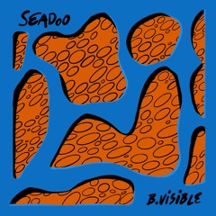 PREMIERE : B.Visible - Seadoo