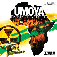 期間限定セール！TIMMY REGISFORD SHELTER 8枚セット Timmy Regisford - TIMMY REGISFORD JUNE 2024 CLUB SHELTER