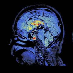 FYPM (feat. Kizzy Zeniba)