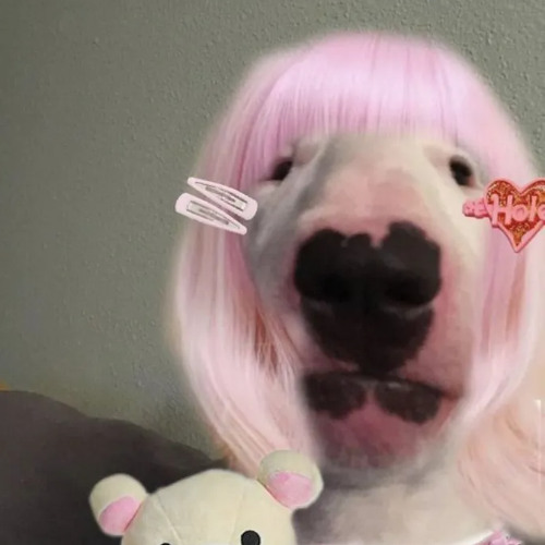 °𐐪♡𐑂° 200 ONLY 𝜗𝜚˚⋆｡☆ - TEAM WALTERDACHI - ૮ ˶ᵔ ᵕ ᵔ˶ ა