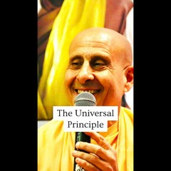 The Universal Principle