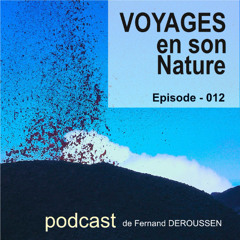 VSN012_LA REUNION_Volcan la pété_F Deroussen