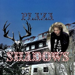 PLAZA - SHADOWS✵✵✵