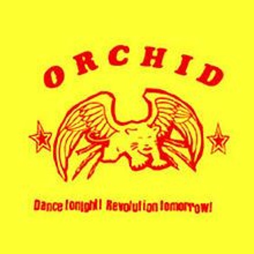 Orchid - Black Hills