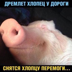 Симфония Нахрюка