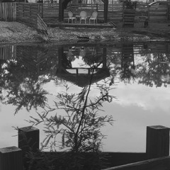 Shit boy in the pond water is a douche