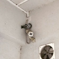 RED BOTTOMS - L2LA (Prod - FlipMakeBeat) NãoOficial