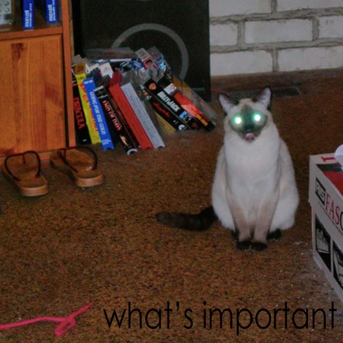 xXxXx the world has turnt (n left me here) xXxXx