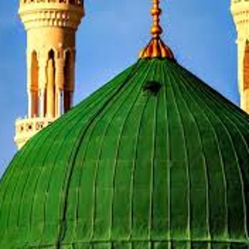 سلام على قبر يزار من البعد ... سلام على الروضة و فيها محمد