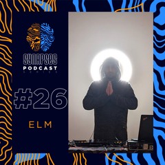 ELM [Synapses Podcast 0026/2022]