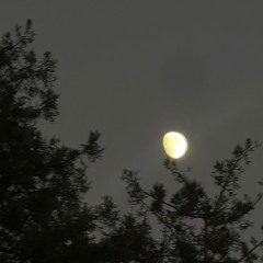 Where Did The Sun Hide