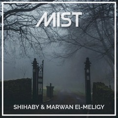 Shihaby & Marwan El-Meligy - Mist (Original Mix)