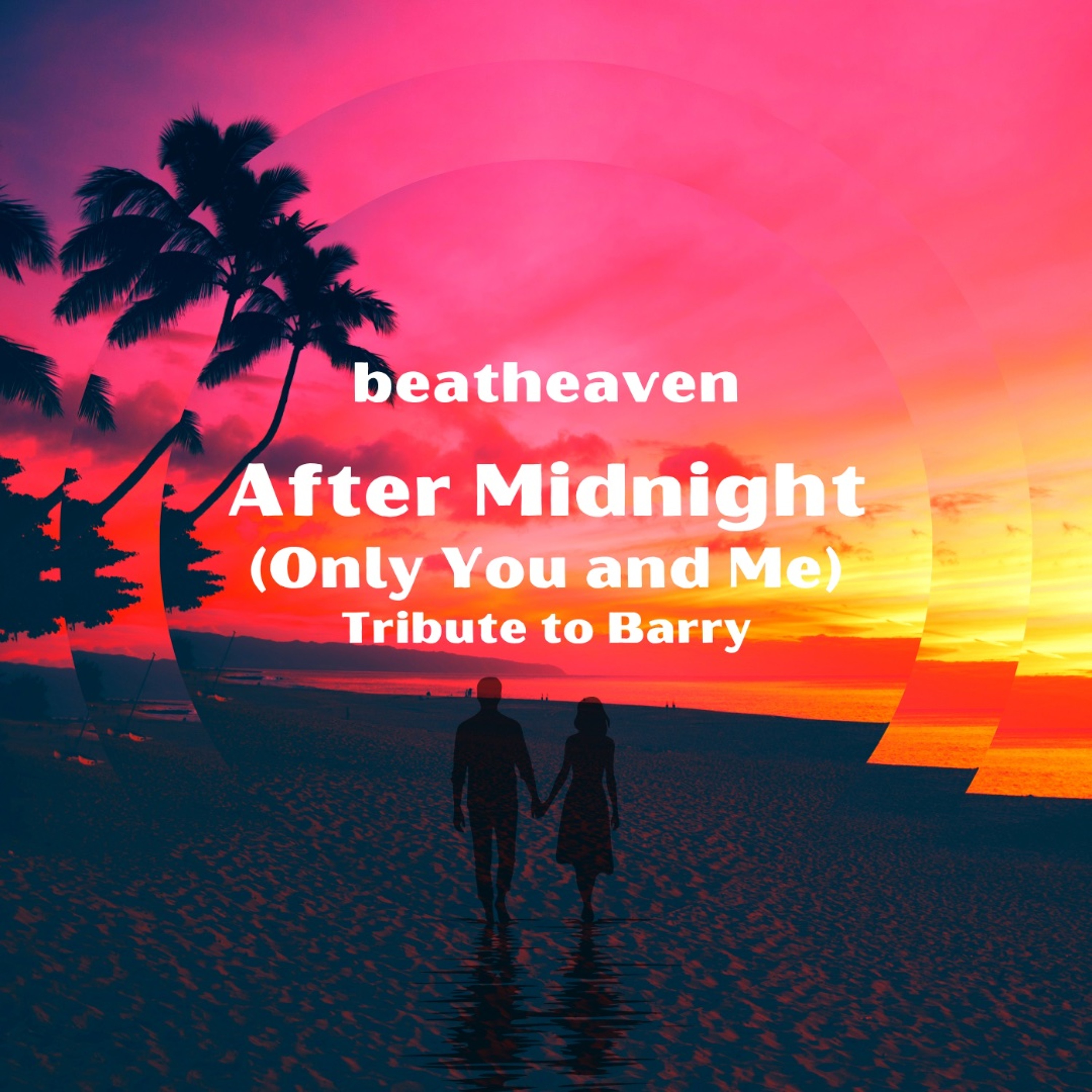After Midnight (Only You and Me) Tribute to Barry episode artwork