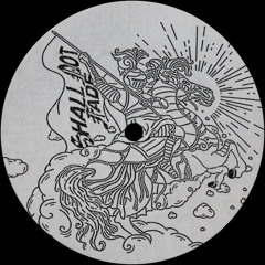 Radio Cargo ─ Final Answer (Mike Momburg Remix)