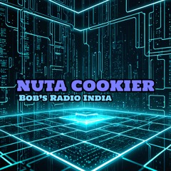 NUTA COOKIER BOBS RADIO _12_07_25_ECHOES OF TECH_ 2 - SaiÌda - Stereo Out