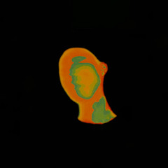 D TAPE