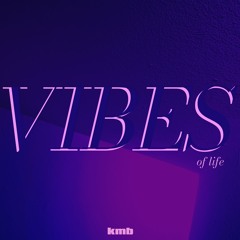 Vibes of Life (KMB Flip)