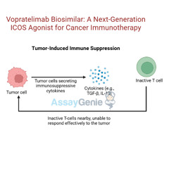 Vopratelimab Unlocking the Potential of ICOS in Cancer Research
