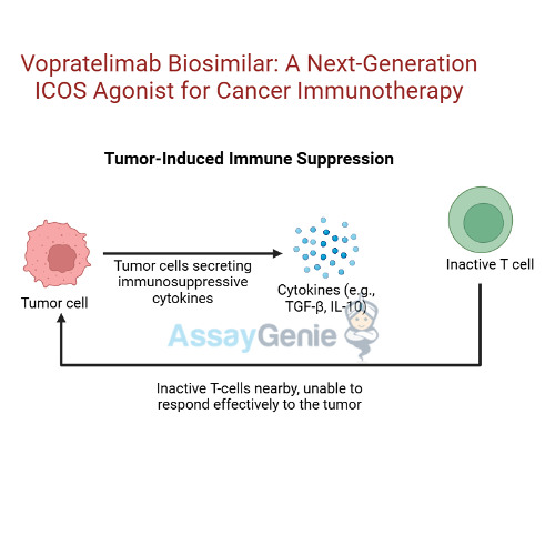 Vopratelimab Unlocking the Potential of ICOS in Cancer Research