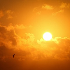 Unleashing The Power of Ultra Violet Light As Disinfection