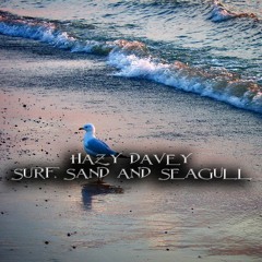 Surf Sand and Seagull