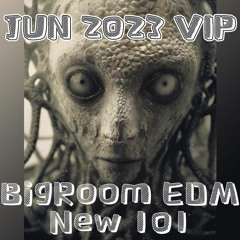 BigRoom EDM Mashup VOL.251(101New Pack)(Free Download)