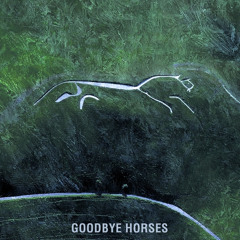 Goodbye Horses (Ambient Mix)