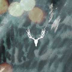 Patryk Molinari - L8 (Original Mix) released on Cervidae Recordings