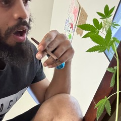 BLINK AND YOU DIE Prod. BobHax