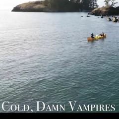 Zach Bryan - Cold, Damn Vampires