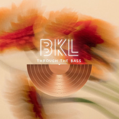 BKL - Through the beat