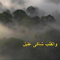 نصر الدين طوبار يا إله العالمين مسجد الحسين 1983