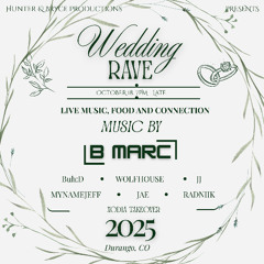 Wedding Rave (Live from The Black Diamond Lodge - Durango, CO)