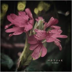Dj Meld - Nature (Instrumental)