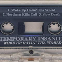 Temporary Insanity - Woke Up Hatin' Tha World [1995] (Full Album)