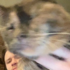 mir im Kopf ist etwas schief gegangen