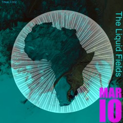 Mar io - The Liquid Fields (Original Mix) [TIN002]