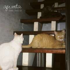 afronta