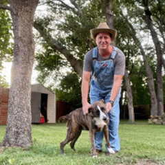 Pickin' Dogs