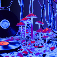 Buddy-_1A_-Shrooms-&-Tunes