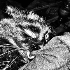 ve.sch elektrae mix 2021/03/25