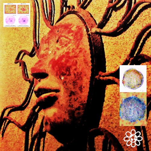 ATHOS - SOLARIUM SOUNDSCAPES