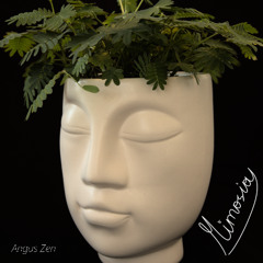 Mimosia
