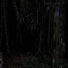 Echoes Of Darkness II
